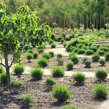 Grand De & Nucca Cala Rossa