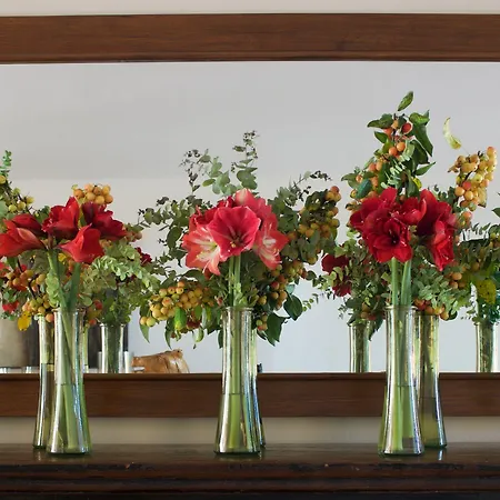 Grand De & Nucca فندق كالا روسا