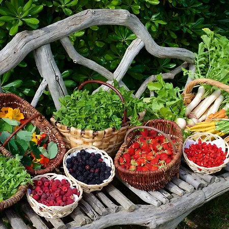 Hotel Grand De Cala Rossa&spa Nucca Cala Rossa