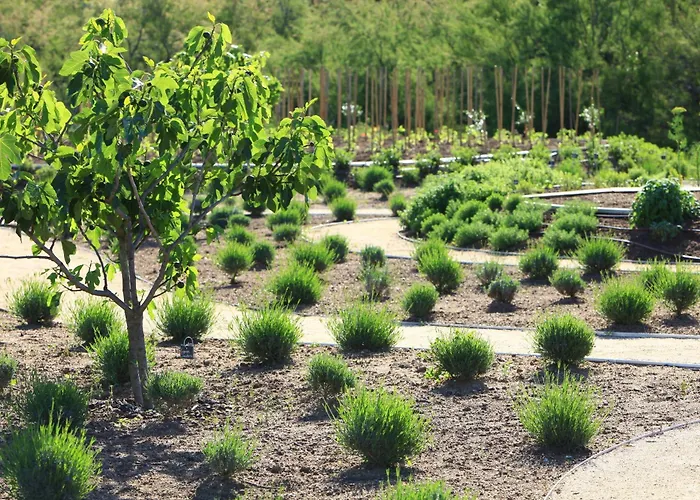 Grand De Cala Rossa&spa Nucca Cala Rossa