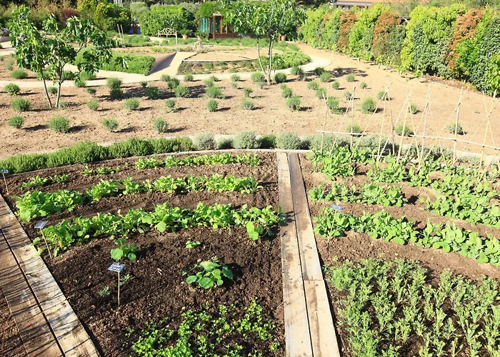 Grand De Cala Rossa&spa Nucca Cala Rossa