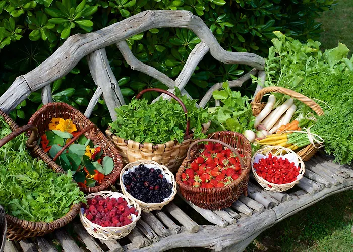 Hotel Grand De Cala Rossa&spa Nucca Cala Rossa