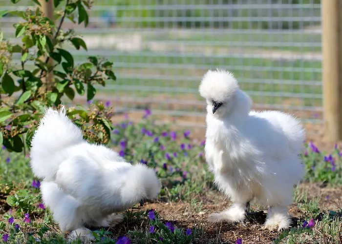Hotel Grand De Cala Rossa&spa Nucca
