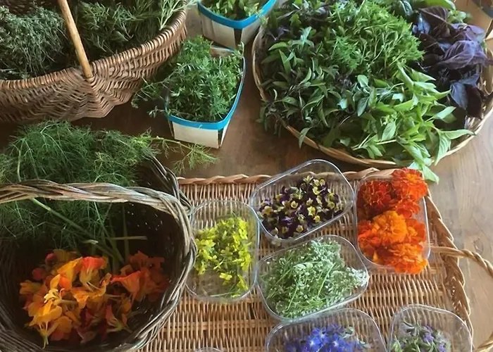 Grand De & Nucca Hotel Cala Rossa