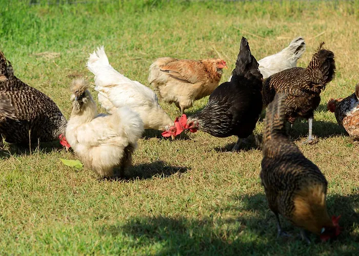 Grand De Cala Rossa&spa Nucca Hotel 5*